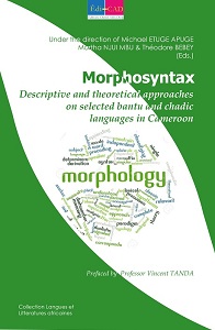 Morphosyntax - Descriptive and Theoretical Approaches on selected Bantu and Chadic Languages in Cameroon 