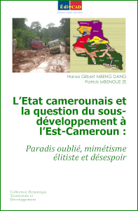 L’Etat camerounais et la question du sous-développement à l’Est-Cameroun : paradis oublié, mimétisme élitiste et désespoir