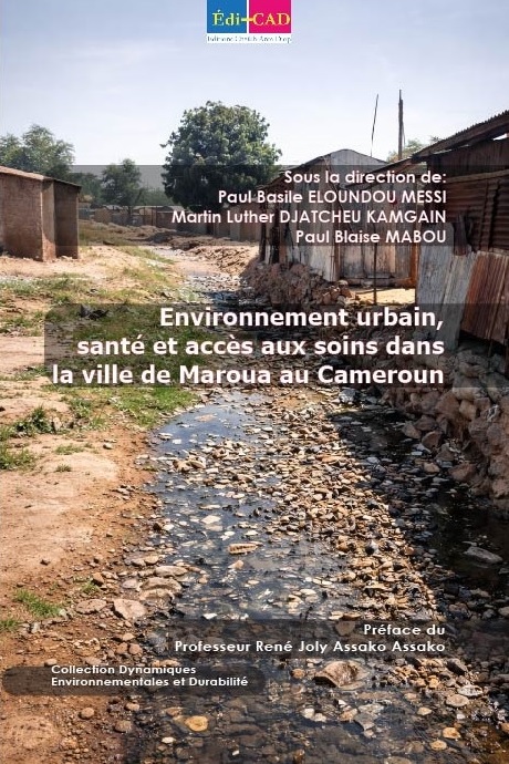 Environnement urbain, santé et accès aux soins dans la ville de Maroua au Cameroun