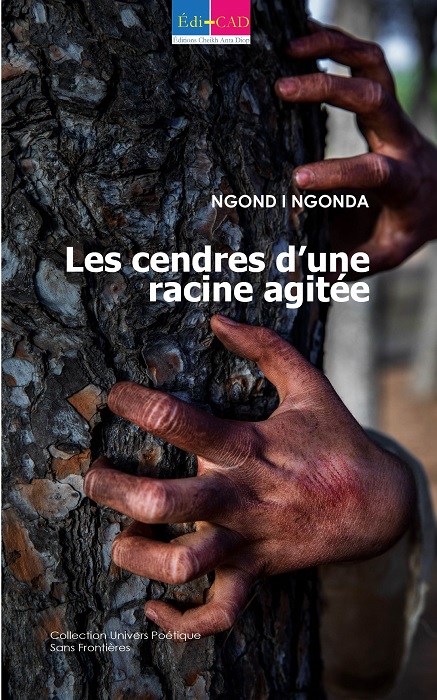 Les cendres d’une racine agitée